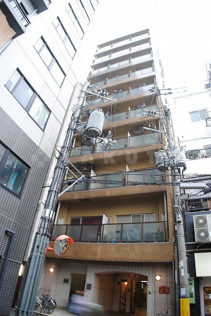 ���{���s�k��Q�Ԓ��P�q