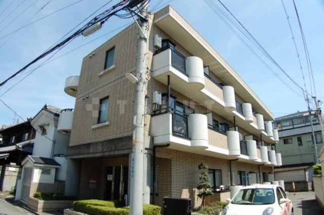 ���{���c�s���c���P�q