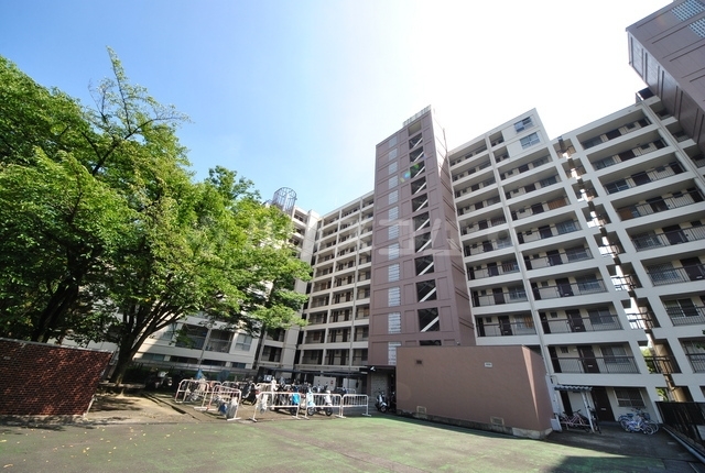 ��}�d�S�痢���@��痢�w�i�k��10���j