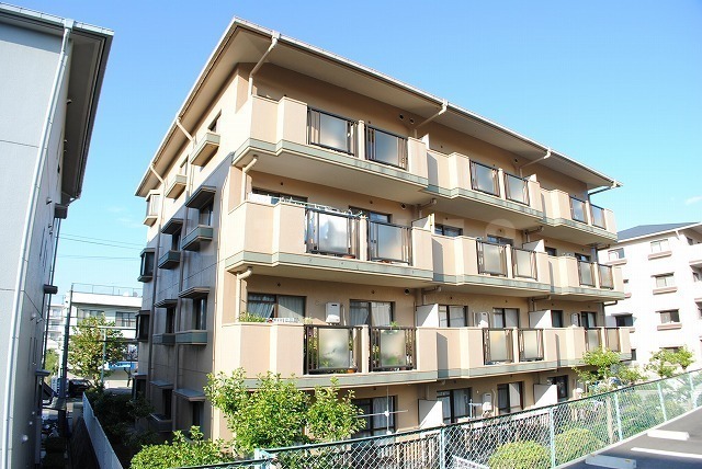 ���{���ʎs���쌴���T���ڂQ�k�c�j