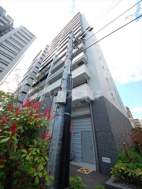 ���{���c�s�L�Œ��P�k�c�j