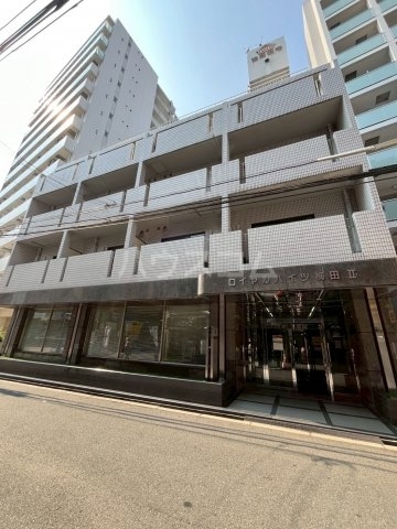 ���{���s�k�擰�R���P�q