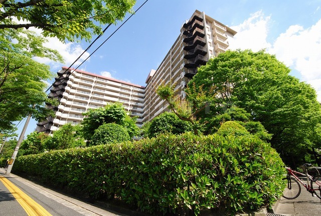 ���{���c�s�R�c���S���ڂR�k�c�j