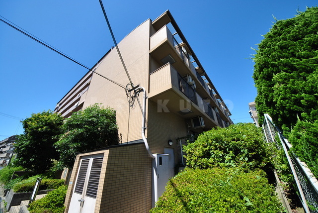 ���{���c�s��R�蒬�P�j