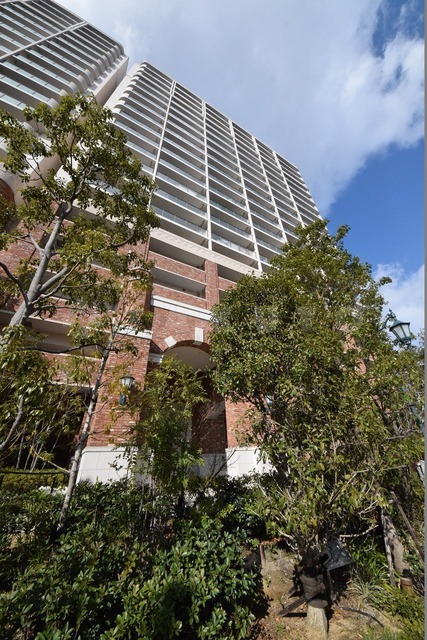 �i�q�������@�C�V�]�w�i�k��8���j