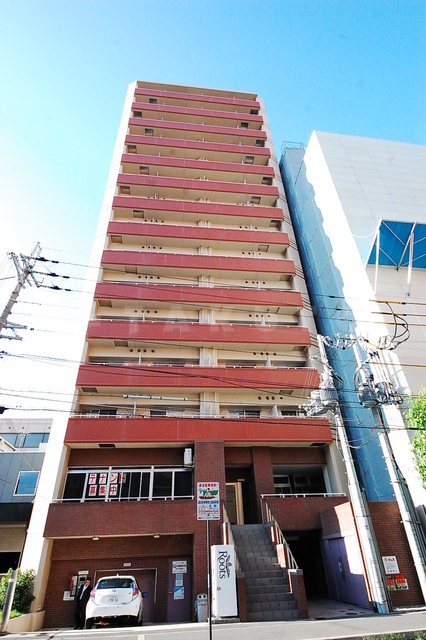 ���{���c�s�L�Œ��P�q