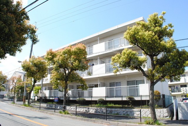 ���{���ʎs���쌴���T���ڂS�k�c�j