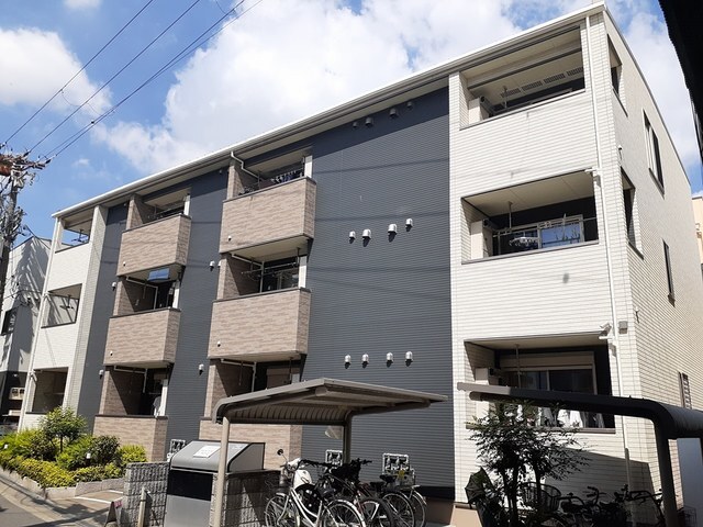 �ߓS�����@�ߋ��w�i�k��5���j�A�i�q������@�ߋ��w�i�k��6���j