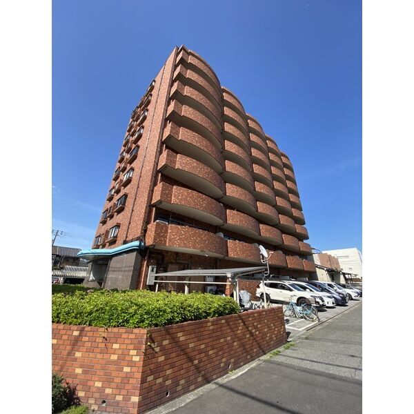 ���{���s���搶�]�P���ڂR�k�c�j