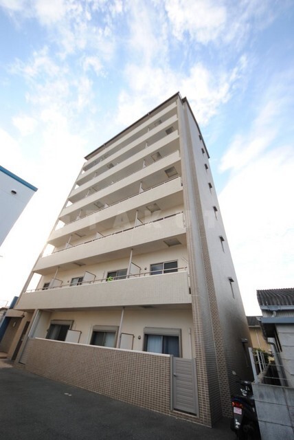 ���{���c�s���䗷���P�q