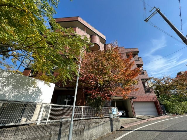 ���{���ʎs��T���ڂP�q