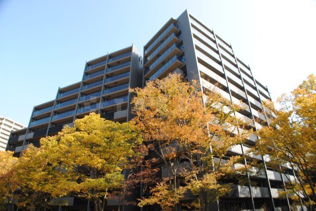 ���{�L���s�V�痢�����Q���ڂR�k�c�j