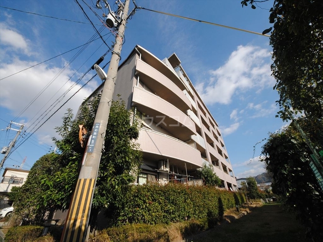 �i�q�В����@�l���w�i�k��22���j