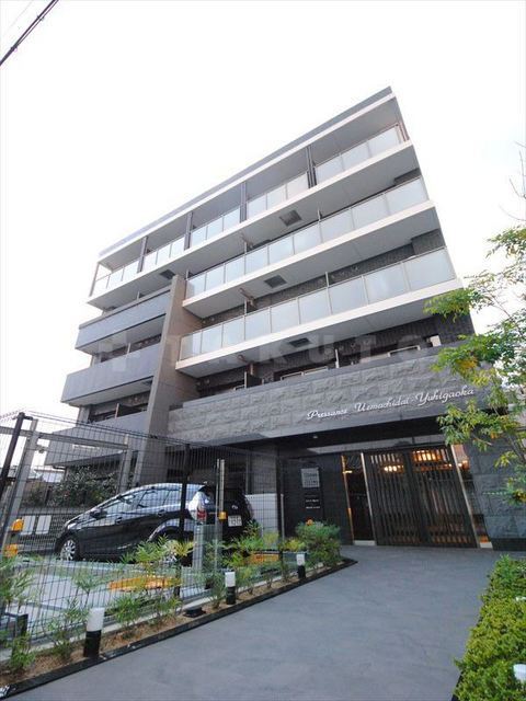 ���{���s�V�����搶�ʎ����P�j