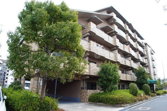 ���{���c�s�|�J���Q�k�c�j