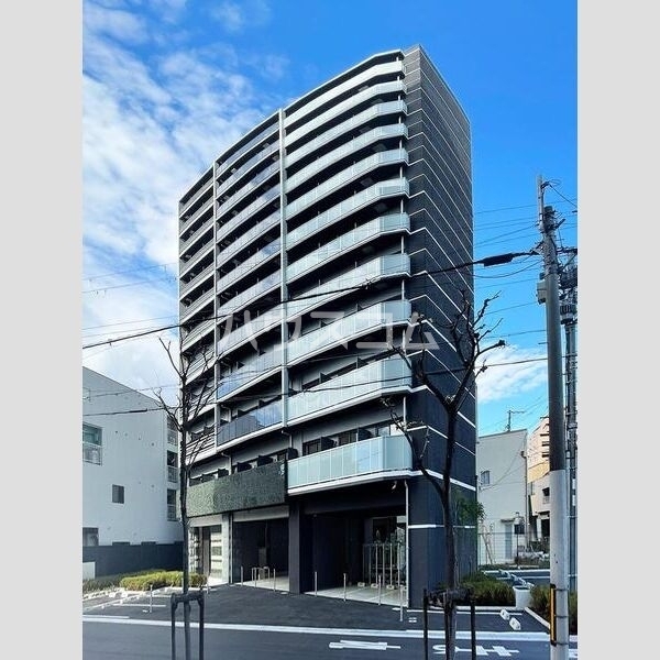 ��チ�g���J�����@��]����w�i�k��8���j