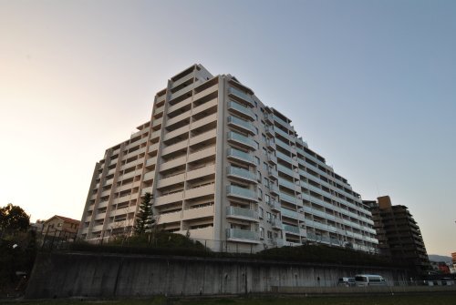 }dS痢@Rcwik8jAヂm[{@Rcwik9j