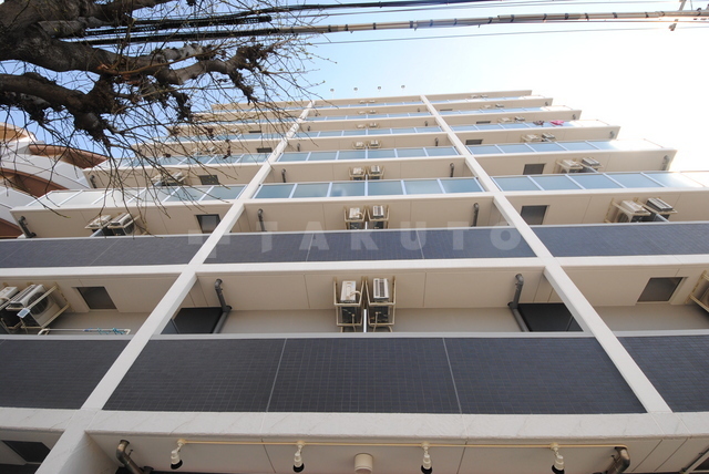 �i�q�В����@���o�w�i�k��10���j