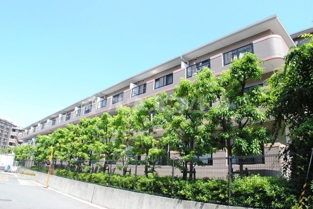 ���{���c�s�t���R���ڂR�k�c�j