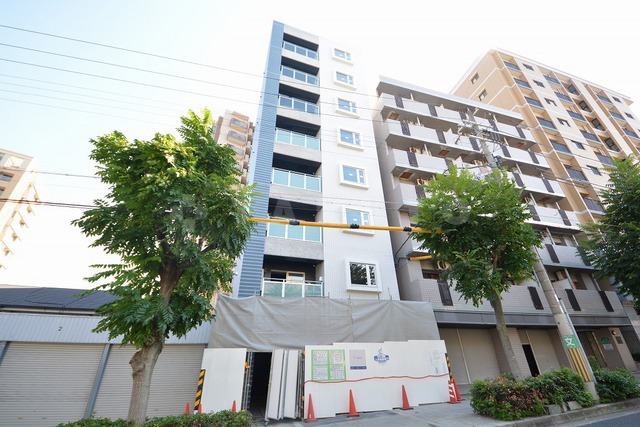 ��チ�g���J�����@�l�V�����O�[�z���u�w�i�k��8���j