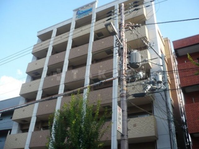 ��チ�g���J�����@��ё�{�w�i�k��11���j