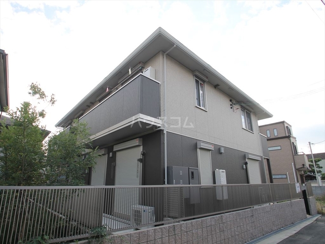 ��チ�g�������ؐ��@�����w�i�k��11���j