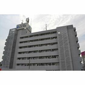 ���{����s��������P�q