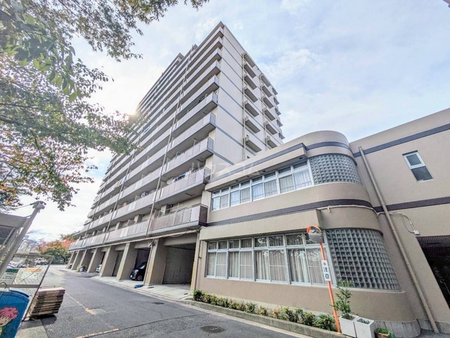 ��C�d�S������@��J�w�i�k��17���j