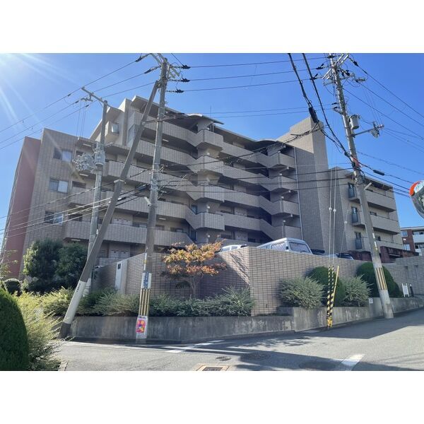 ���{���c�s��R�蒬�R�k�c�j