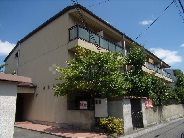 ���{���ʎs���쌴���R���ڂP�j