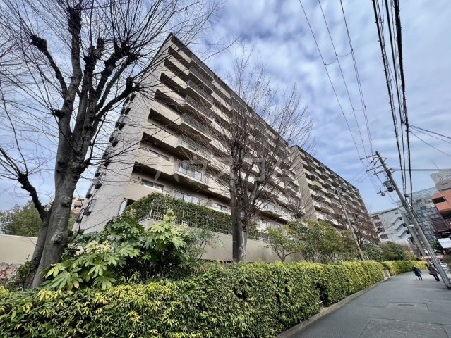 ���{�L���s�����Q���ڂR�k�c�j