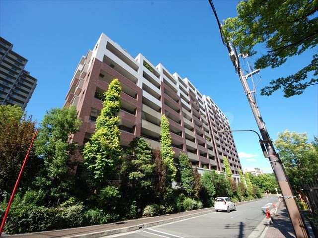 ���{�L���s�V�痢�����Q���ڂS�k�c�j