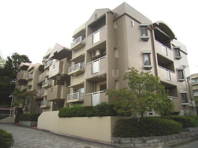 ���{���ʎs���쌴���U���ڂR�k�c�j