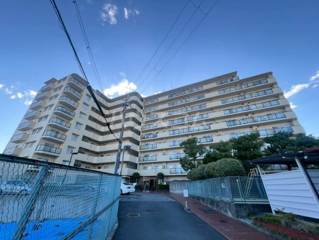 ���{���c�s�痢�R�����u�R�k�c�j