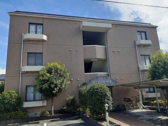 ��}�d�S���ʐ��@�q���w�i�k��10���j