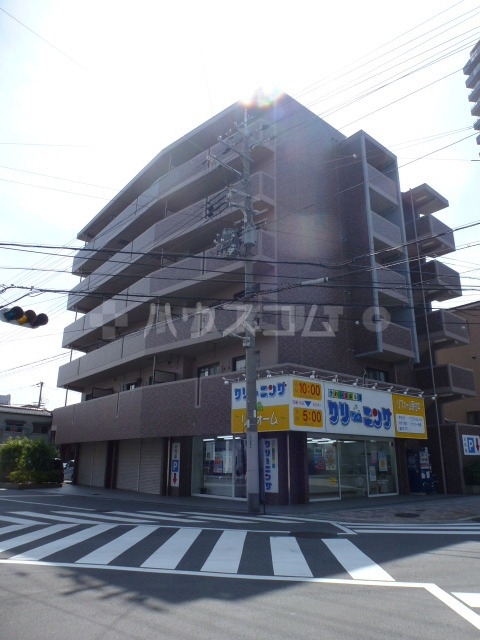 �i�q�В����@����w�i�k��11���j