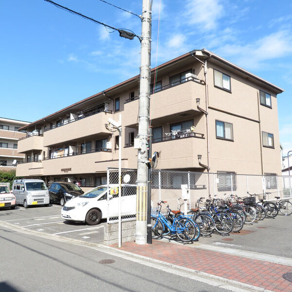 ���{���c�s���钬�Q�k�c�j