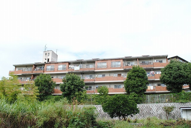 ���{���c�s�����R�k�c�j