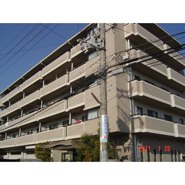 ���{��؎s���_���Q���ڂQ�k�c�j