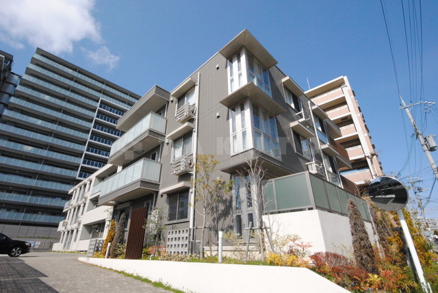 ��ヂ�m���[���{���@�痢�����w�i�k��6���j�A�k���}�s��k���@�痢�����w�i�k��8���j