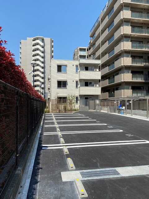 ���{���c�s�]�̖ؒ��Q�k�c�j