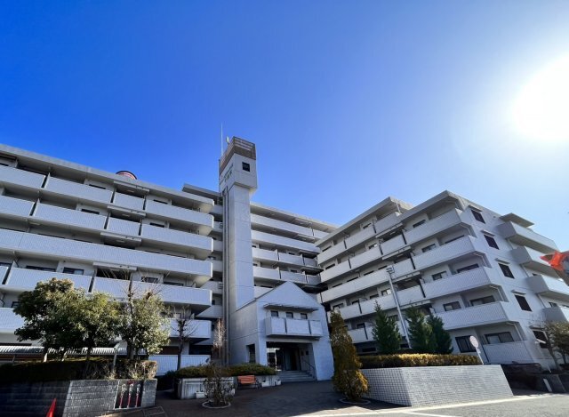 ���{���c�s�R�c���P���ڂS�k�c�j