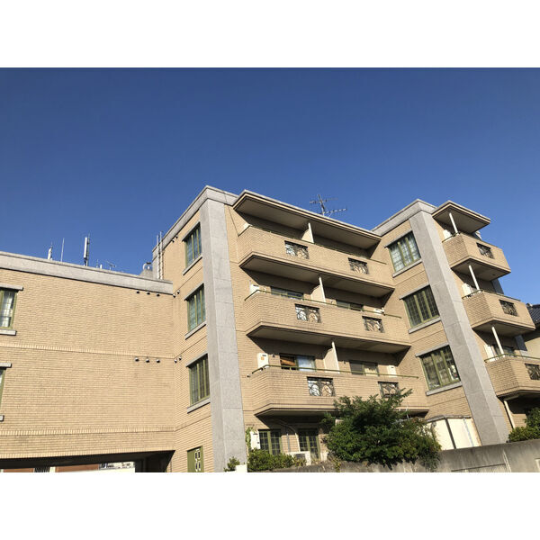 ���{���ʎs���ʂT���ڂP�j