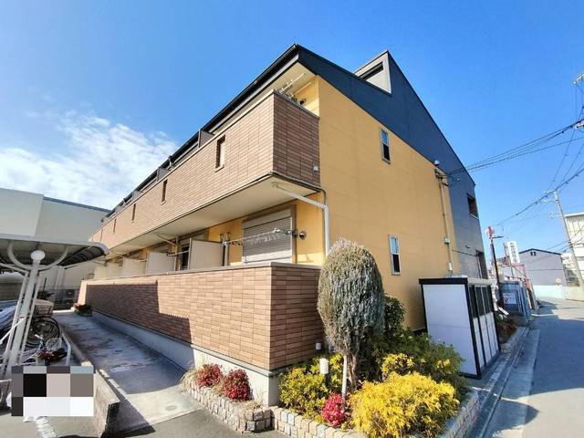 �i�q�В����@���w�i�k��25���j