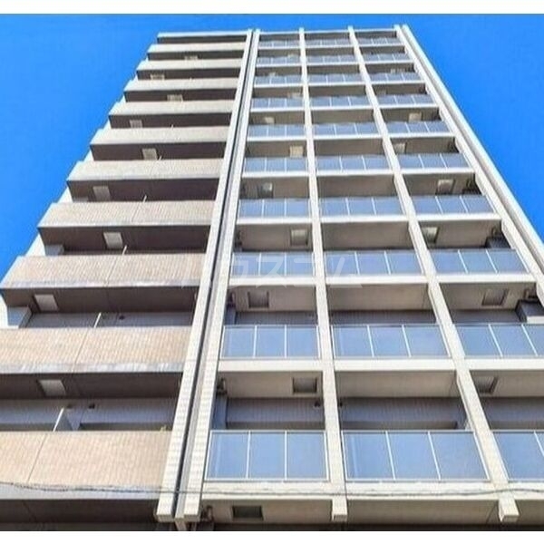 ��チ�g���J�����@�s���w�i�k��10���j