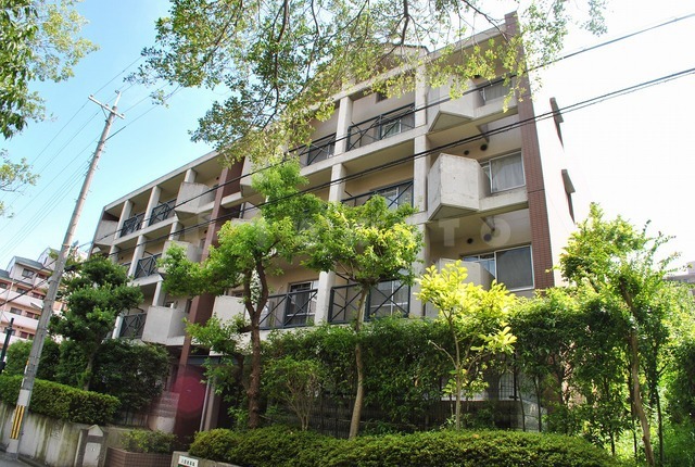 ���{���c�s�܌����u���R�k�c�j