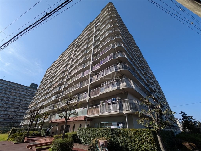 ��チ�g���J�����@����w�i�k��18���j