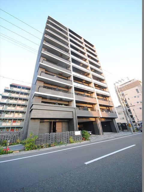 �i�q������@�����w�i�k��10���j