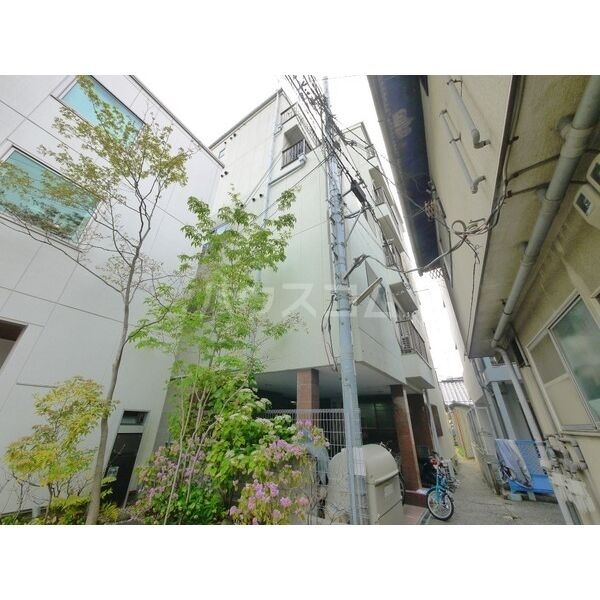 �i�q�������@�䕼���w�i�k��11���j