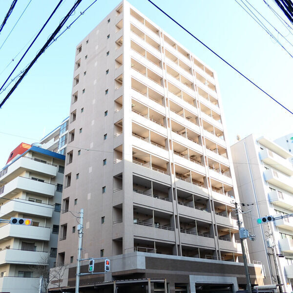 ���{���c�s�]�̖ؒ��P�q